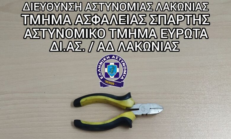 Λακωνία Κλοπές