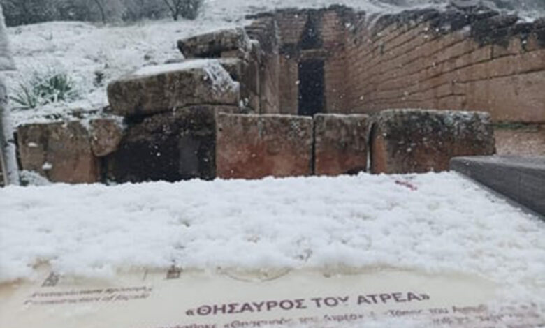 Χιόνια μυκήνες
