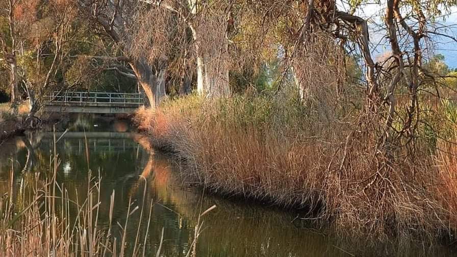 Ερασίνος ποταμός