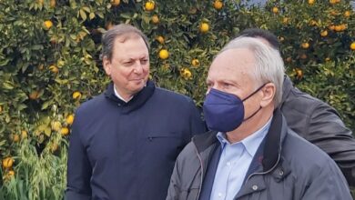 Ανδριανός Λιβανός