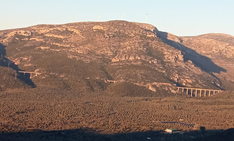 Αχλαδόκαμπος αιολικά (2)
