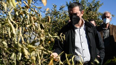 Επίσκεψη Τσίπρα στην Αργολίδα (4)