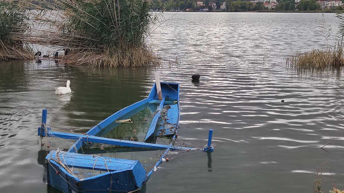 Πουλιά στη λίμνη Καστοριάς (17)