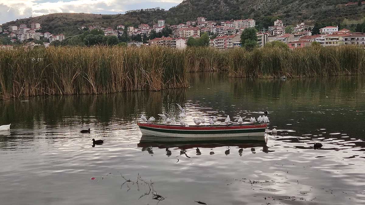 Πουλιά στη λίμνη Καστοριάς (21)