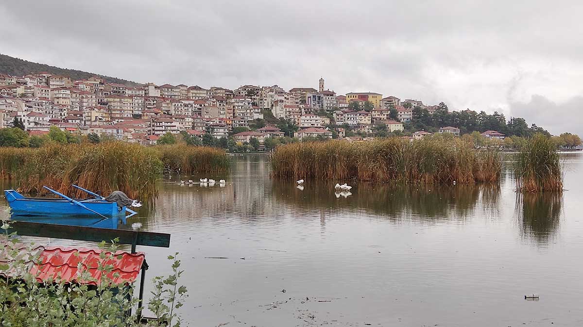 Πουλιά στη λίμνη Καστοριάς (7)