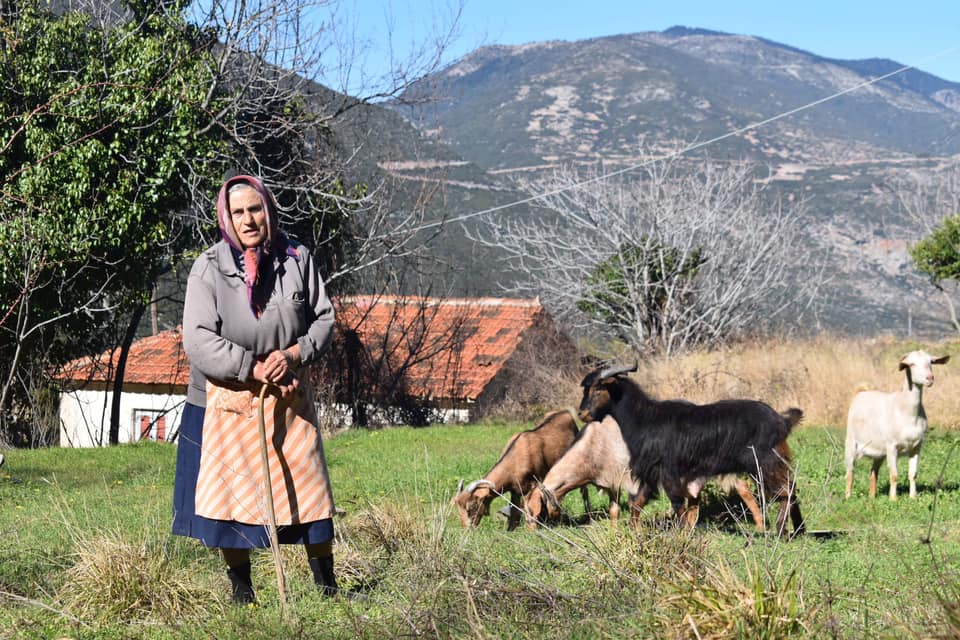 Κεφαλόβρυσο Αργολίδα (1)