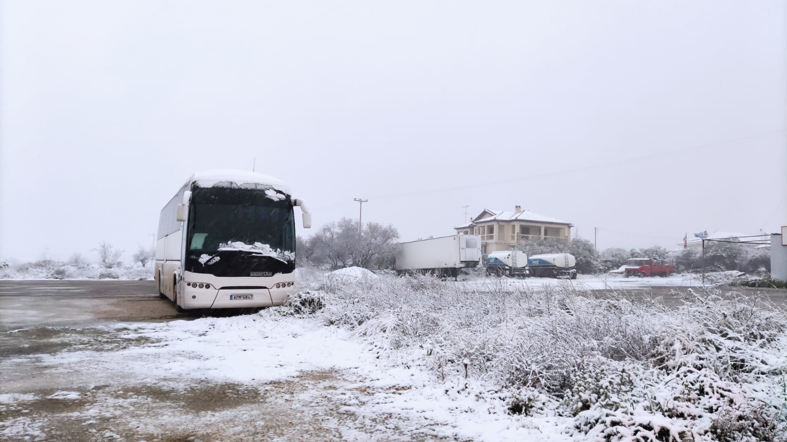 Λυγουριό χιόνια (13)