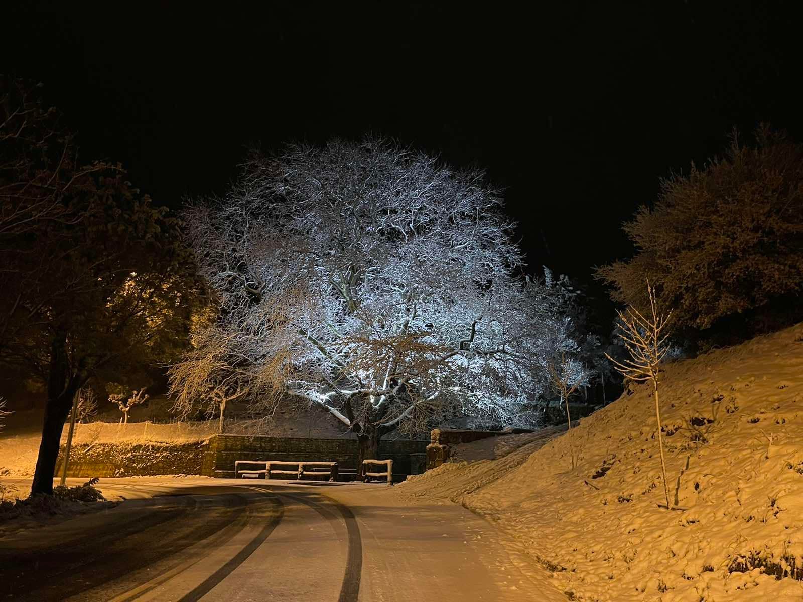 Χιόνια Καρυά (13)