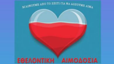 aimodosia fixti (1)