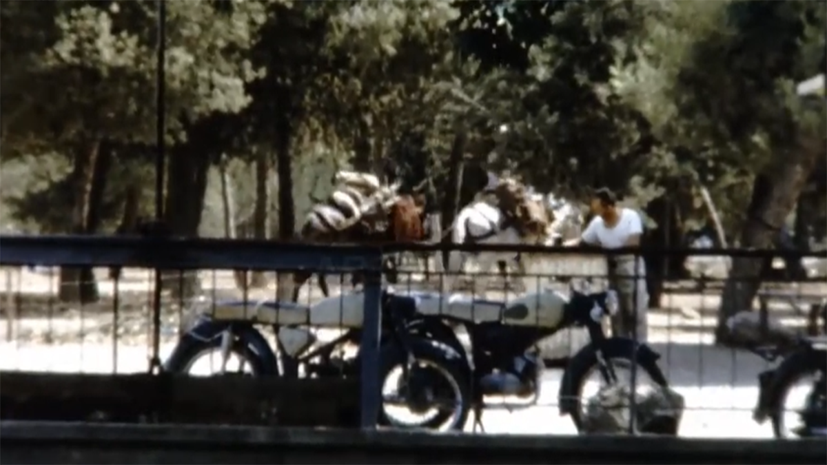Πώς ήταν το Κεφαλάρι το 1966 – Συλλεκτικό φιλμ από το όμορφο χωριό του Άργους