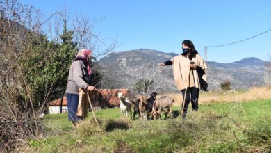 Κεφαλόβρυσο Αργολίδα (3)