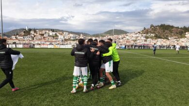Τροιζηνιακός Παναργειακός