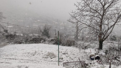 Χιονια Κεφαλόβρυσο (2)