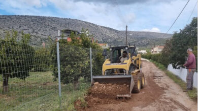δευαν δρέπανο
