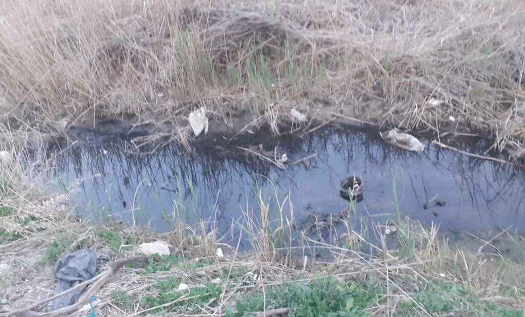 Λυματολάσπη υγρότοπος Ναυπλίου Νέας Κίου 2