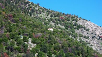 Άη Γιωργάκης Άργος