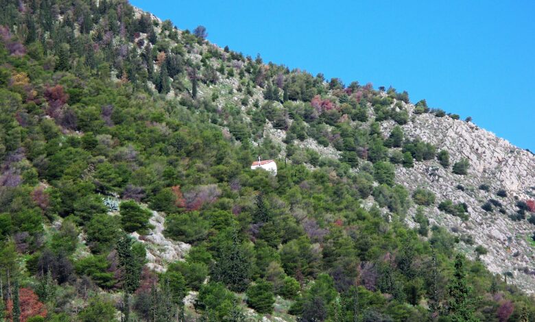 Άη Γιωργάκης Άργος