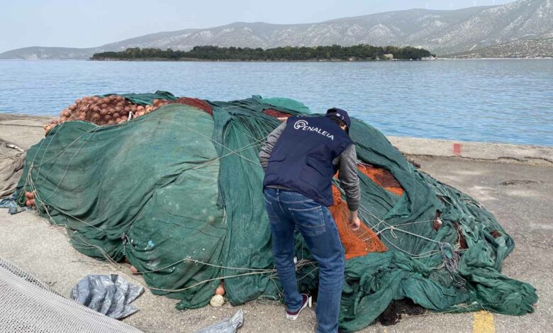 Δίχτυα Κοιλάδα