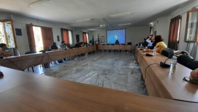 Επίδαυρος ημερίδα