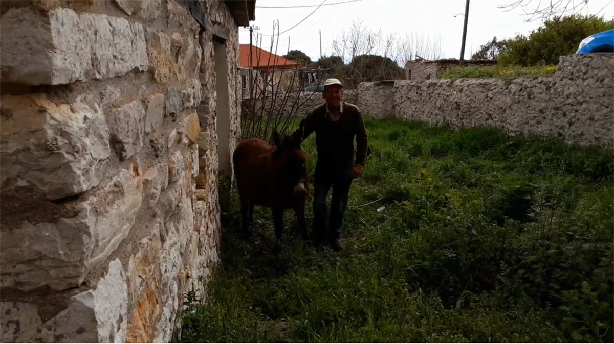 Οδοιπορικό στη Μεσσηνία: Γραφικά χωριά με λιγοστούς κατοίκους που διηγούνται ιστορίες (Βίντεο)