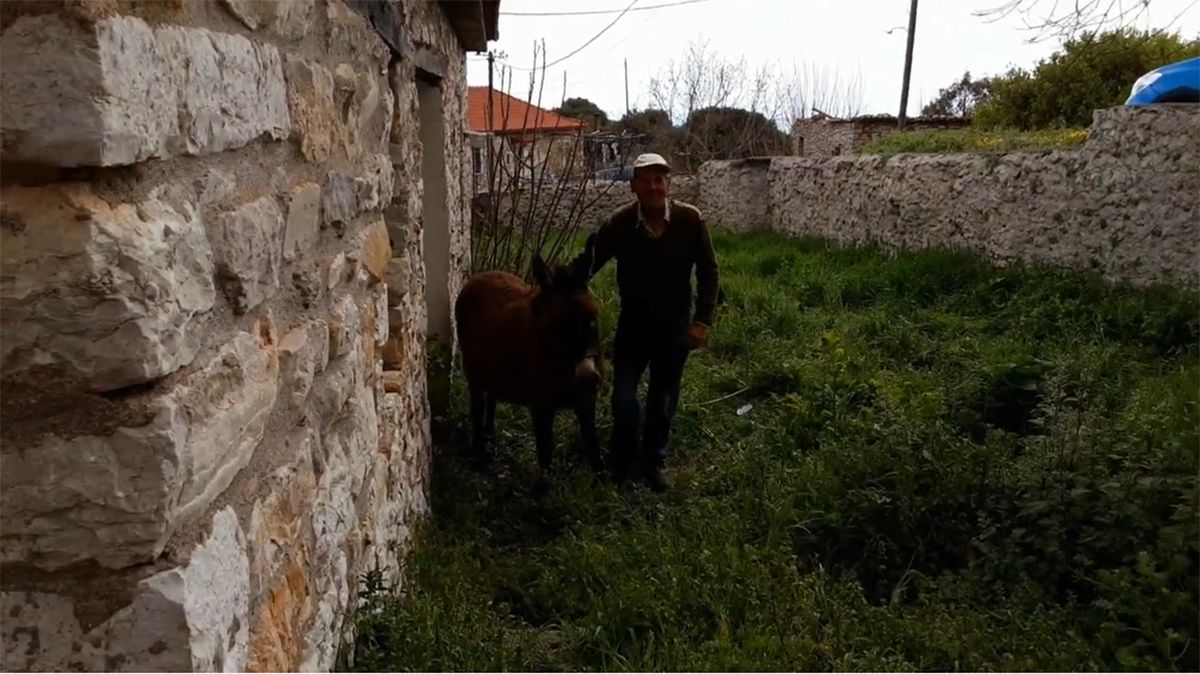 Πουλίτσι