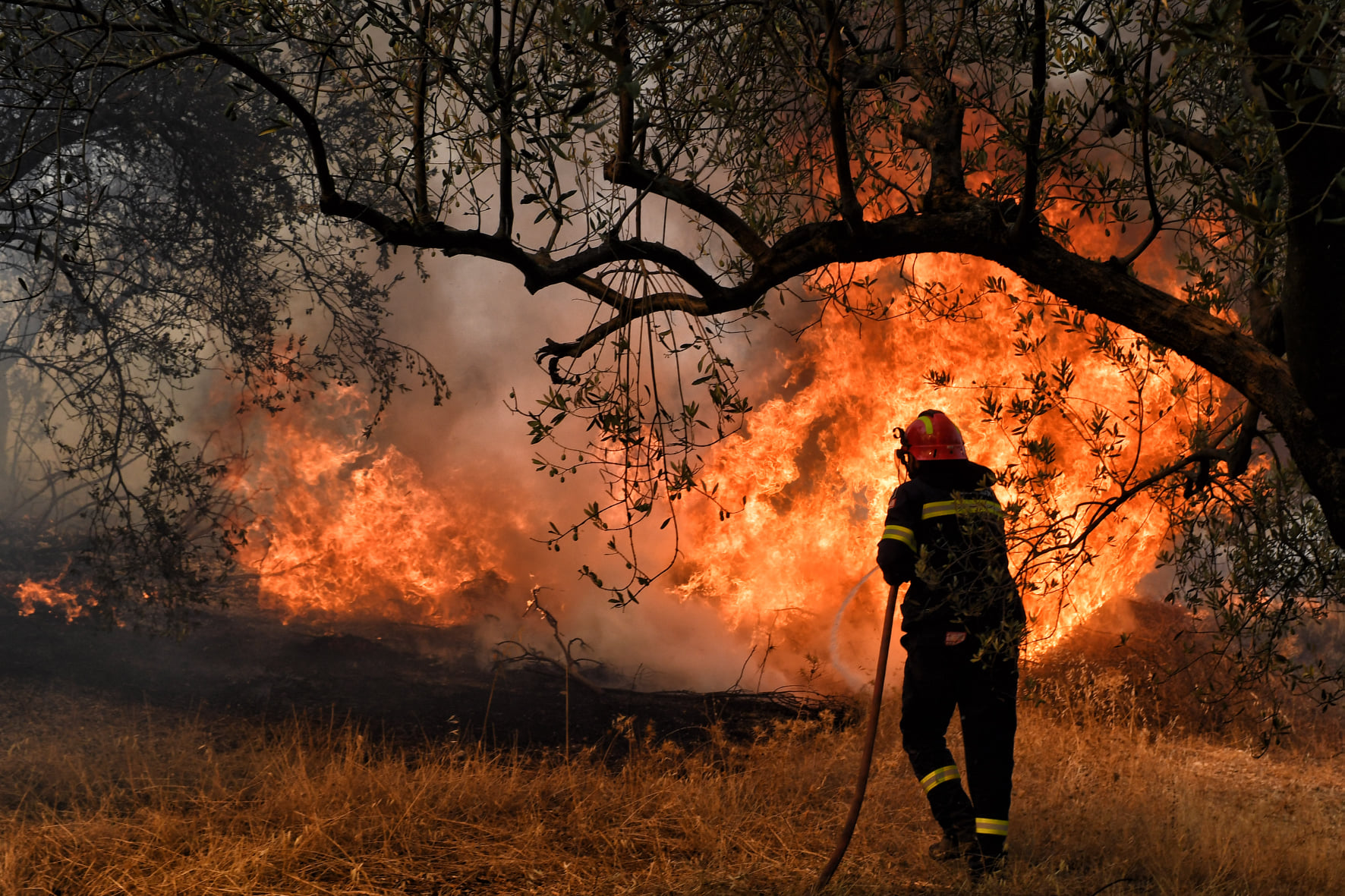 Λακωνία: Σβήνουν μία-μία οι εναπομείνασες εστίες φωτιάς στον Πάρνωνα