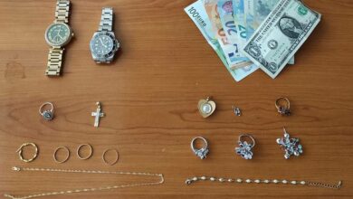 εξιχνιάσεις κλοπών Μεσσηνία (2)