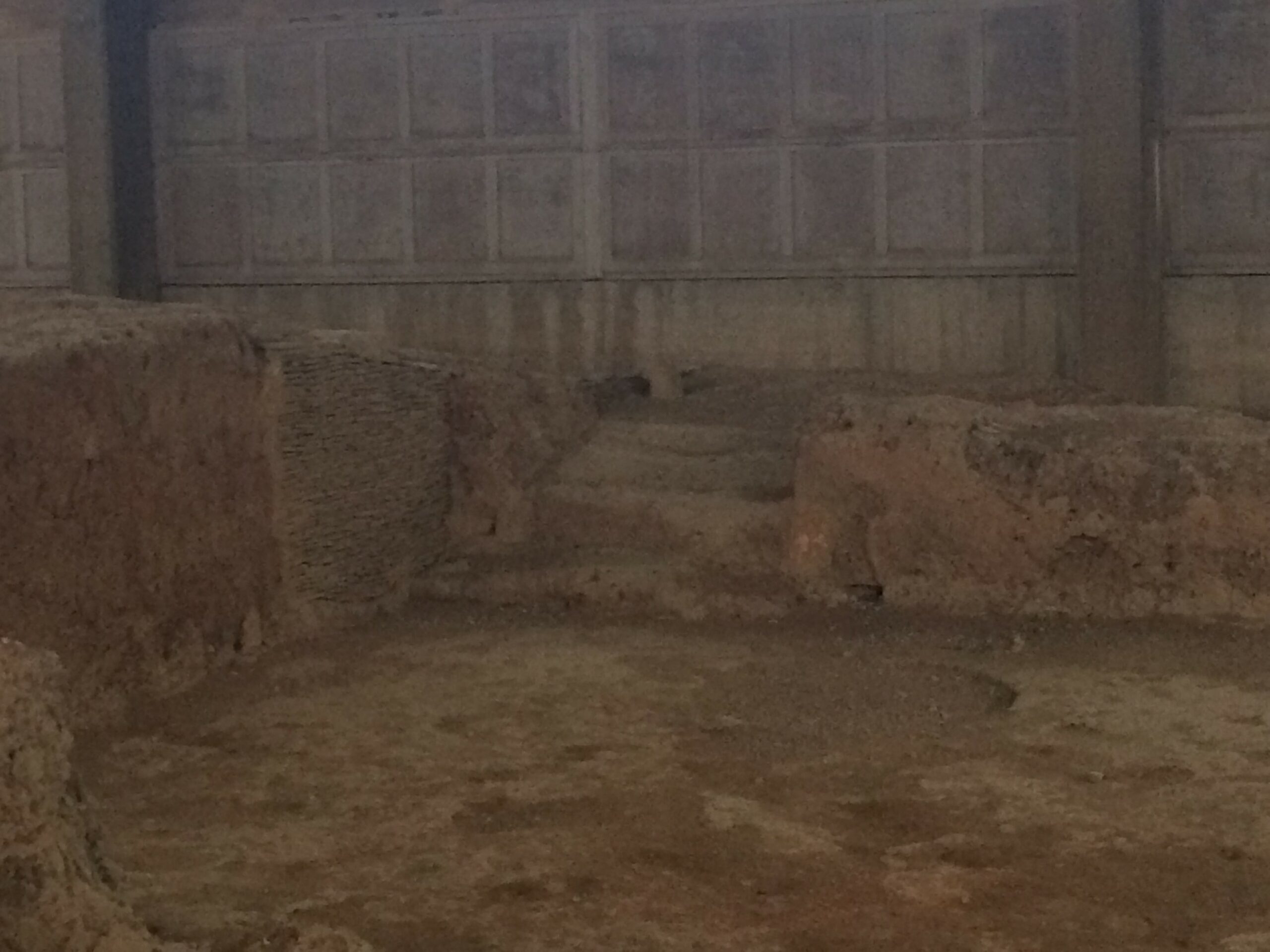 Αρχαιολογικός χώρος Λέρνας (5)