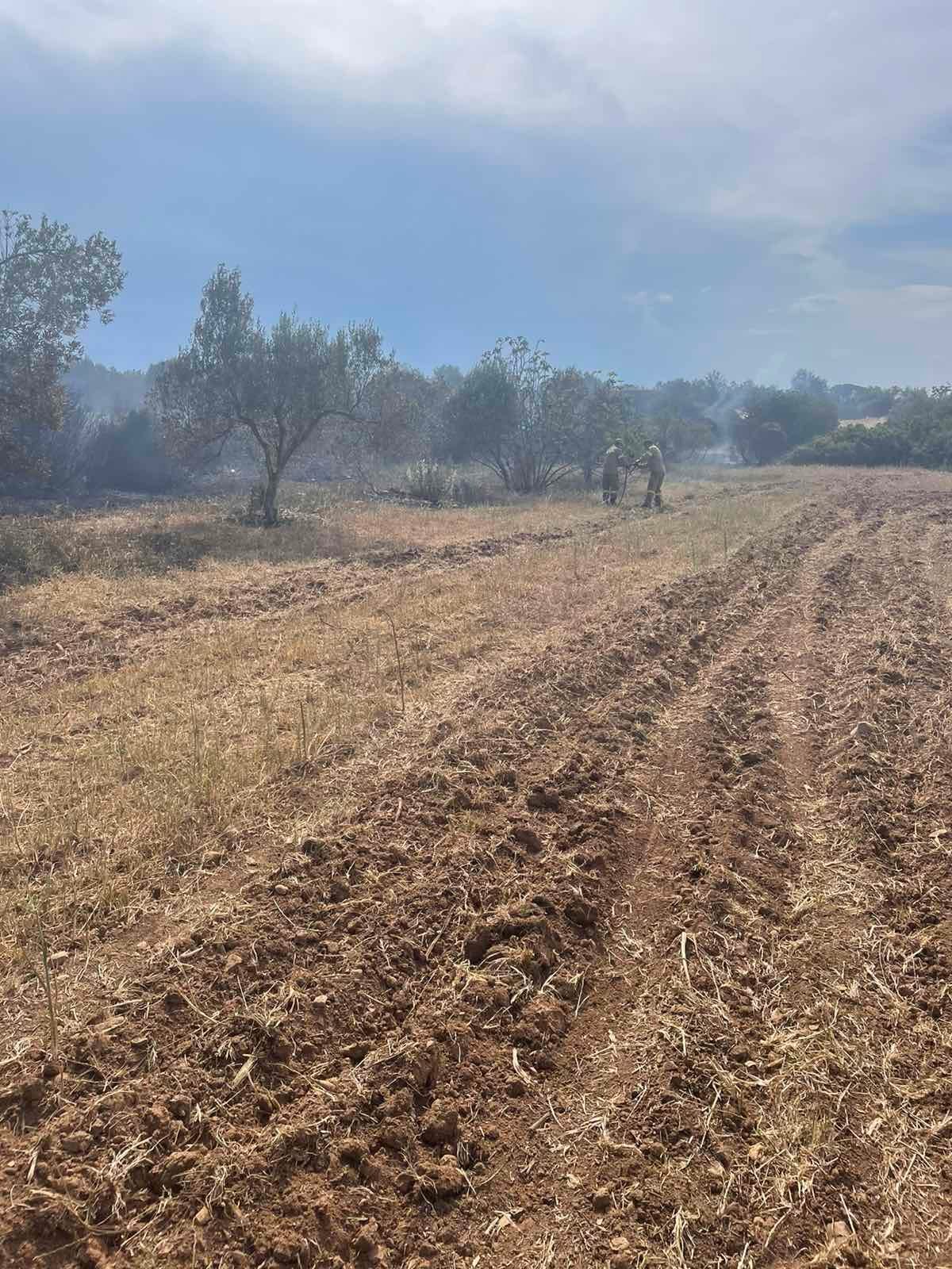 Ερμιονίδα φωτιά (8)