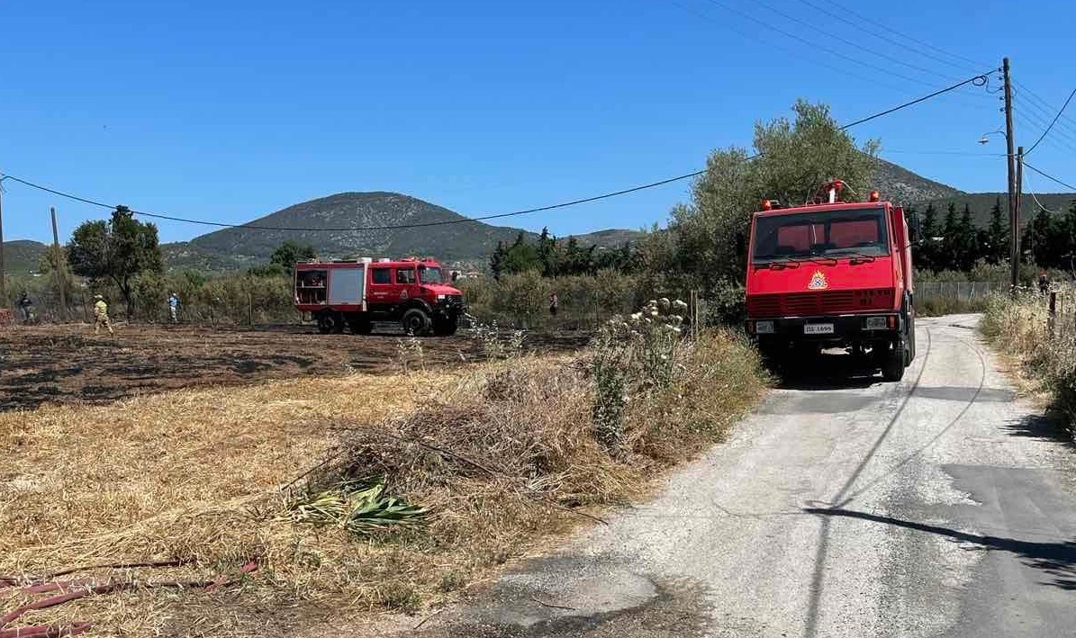 Φωτιά στον κάμπο Κρανιδίου (1)