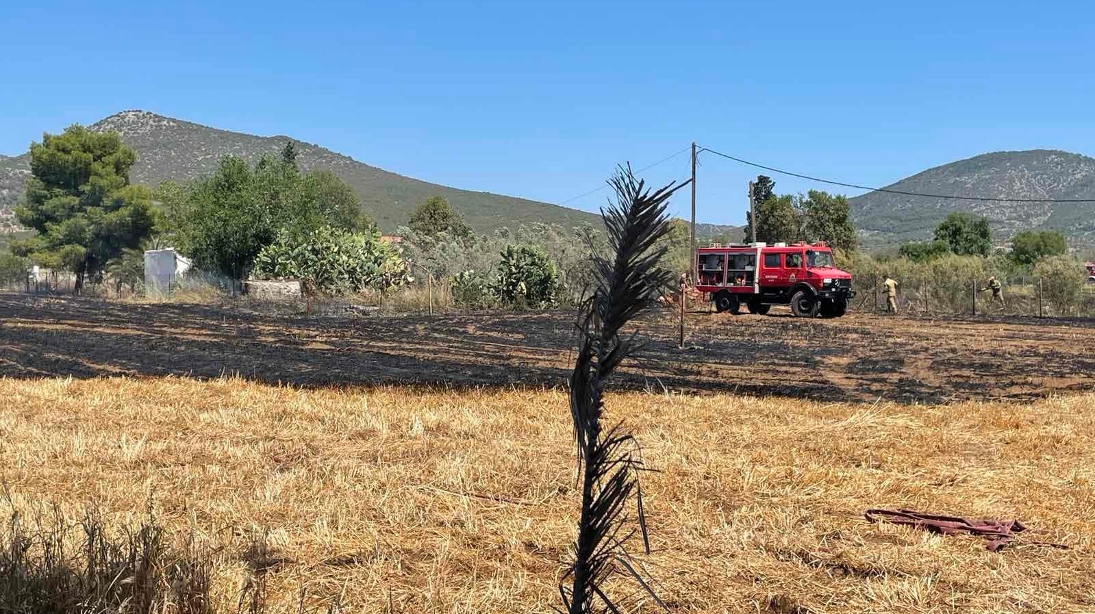 Φωτιά στον κάμπο Κρανιδίου (3)