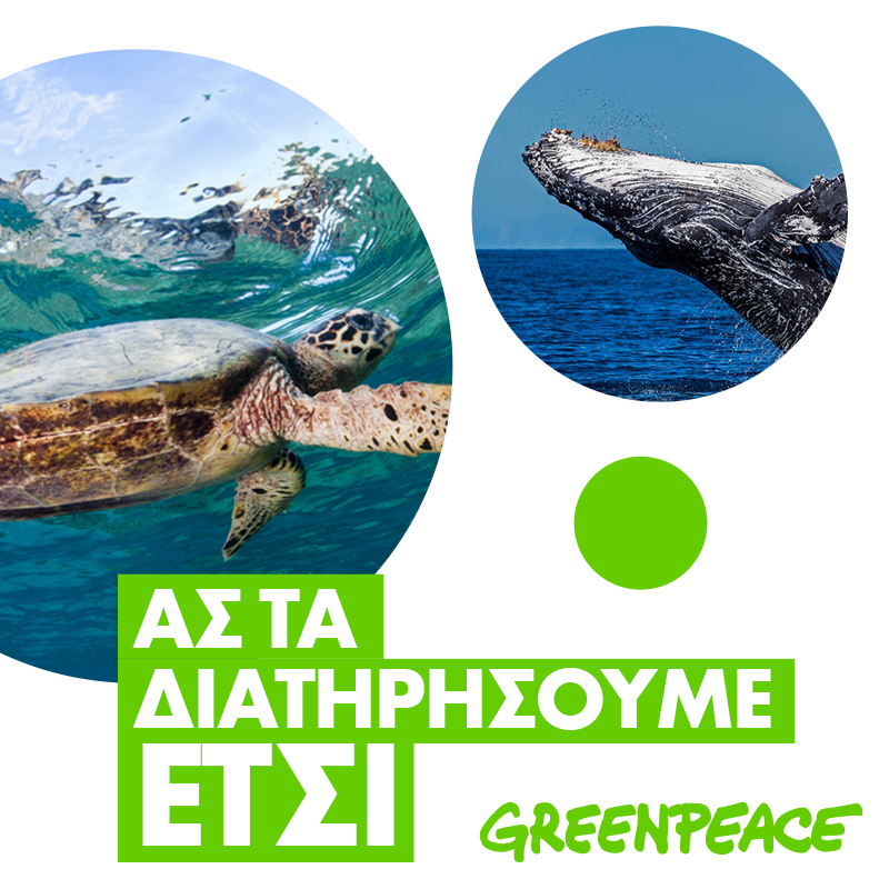 greenpeace 1