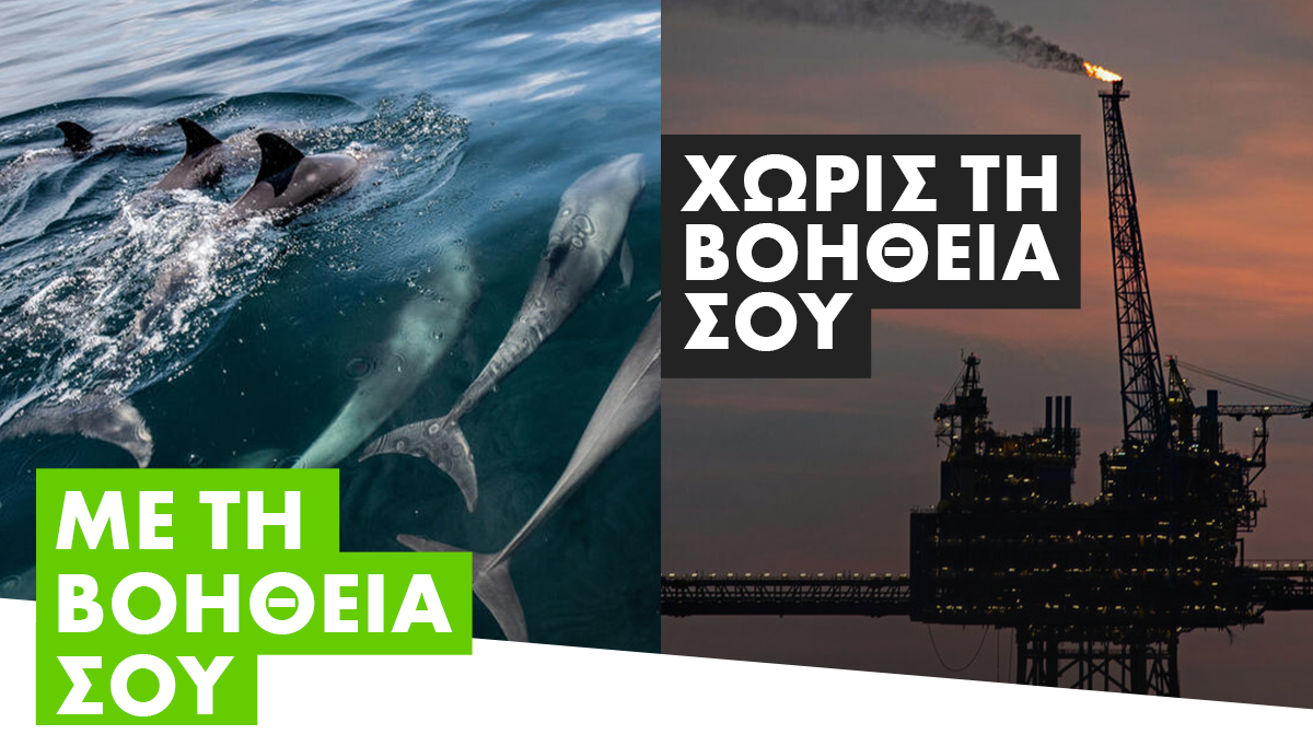 Μεσόγειος SOS – Κινδυνεύουν από τις εξορύξεις δελφίνια και φάλαινες σε Ιόνιο, Κυπαρισσιακό κόλπο και Κρήτη