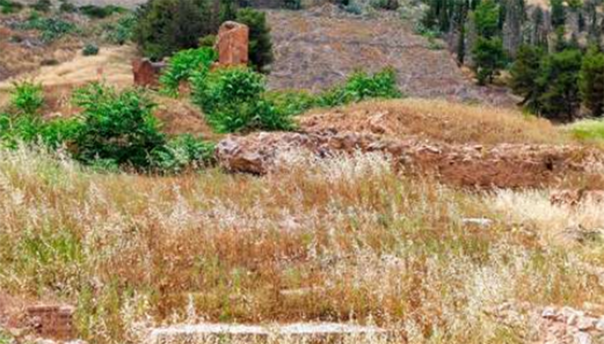 Χορτάριασε η ιστορία: Φωλεά δια Αργόλας οι αρχαιολογικοί χώροι του Άργους