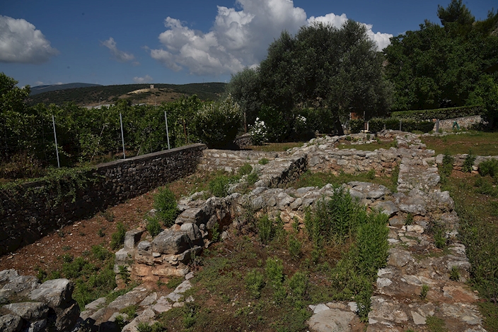 Αρχαιολογικός χώρος Λέρνας