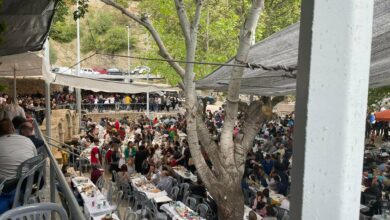 Βρούστι πλατεία Πρωτομαγιά (3)