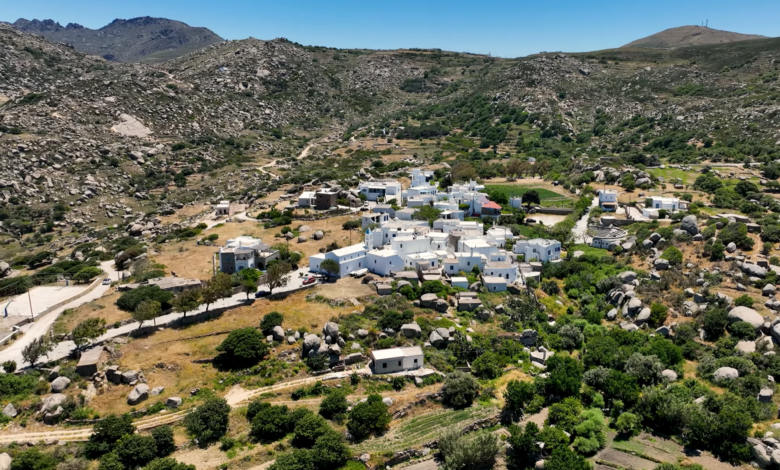 Βόλαξ Τήνος
