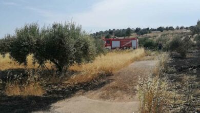 Ερμιονίδα φωτιά (9)