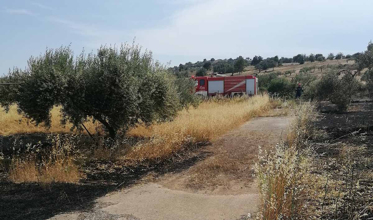 Άμεσα αντανακλαστικά για την πρώτη φετινή φωτιά στον κάμπο Κρανιδίου