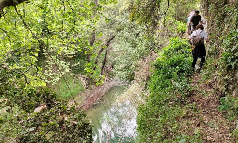 Μηναγιώτικο Μονοπάτι Μεσσηνία 7