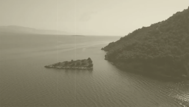 Νησί Βρυκολάκων