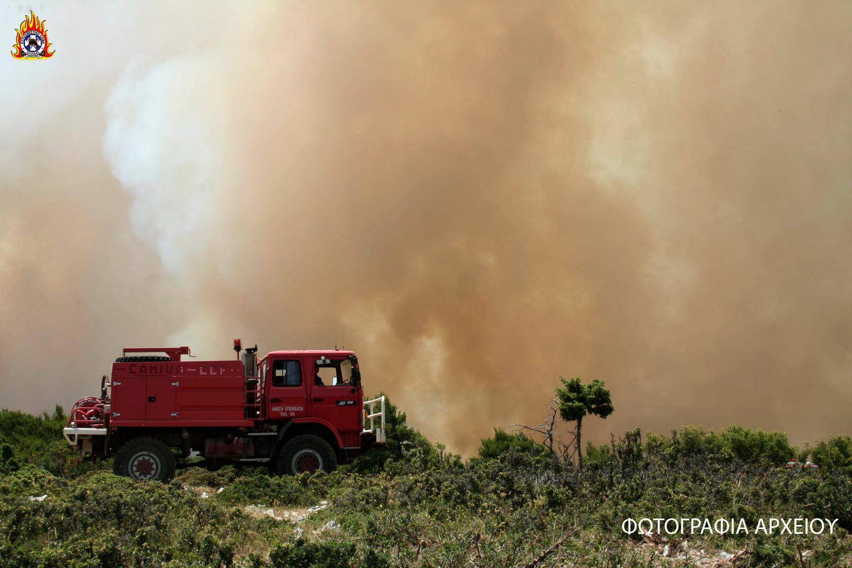 Μεγαλόπολη: Προστασία από τις δασικές πυρκαγιές εν όψει καλοκαιριού