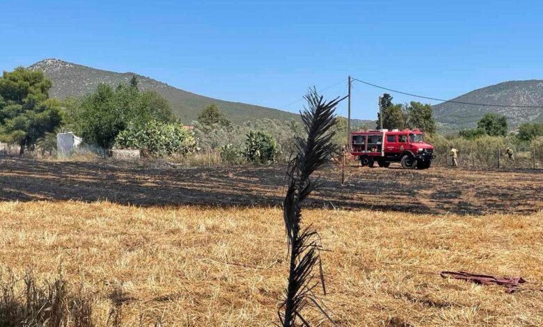 Φωτιά στον κάμπο Κρανιδίου (3)
