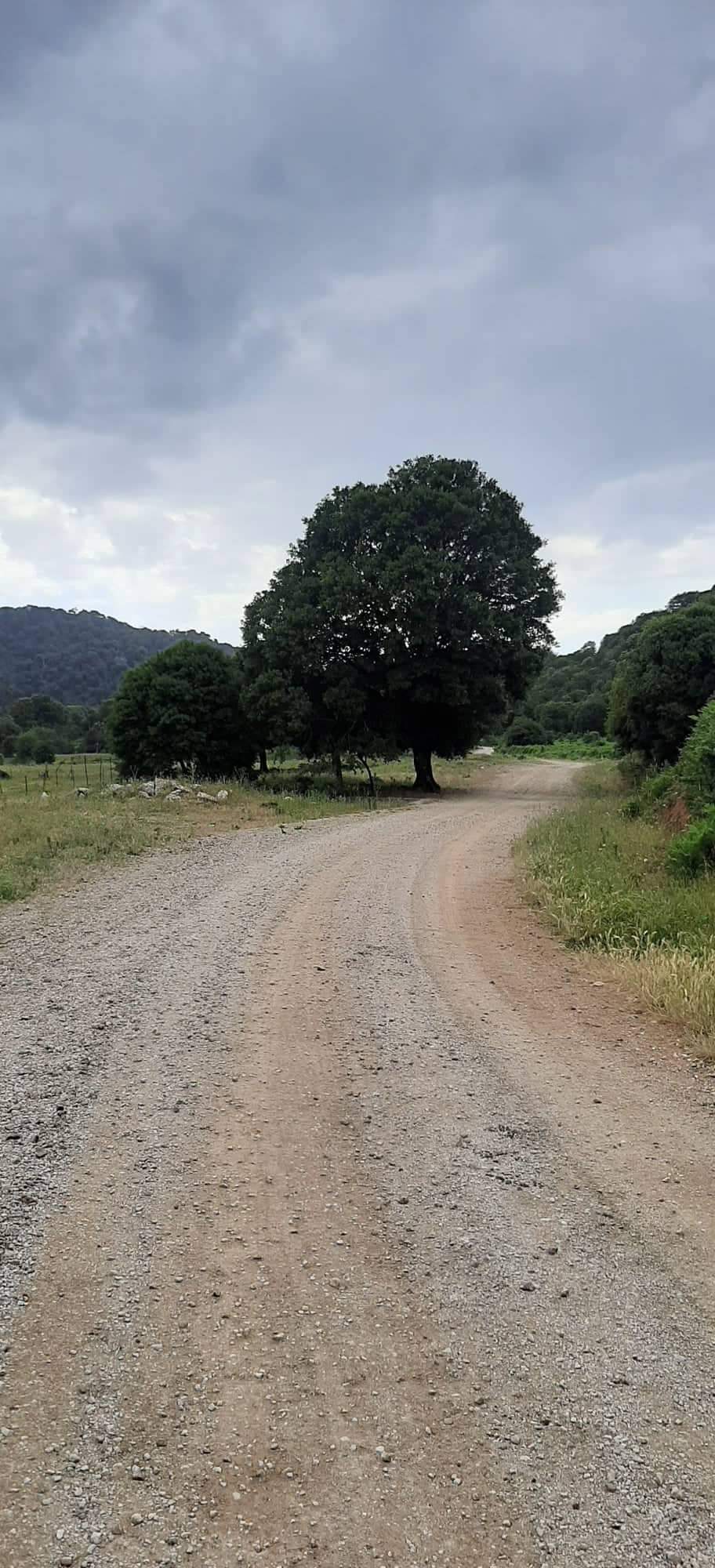 Άγνωστη Μεσσηνία οδοιπορικό στη Μάλη (3)