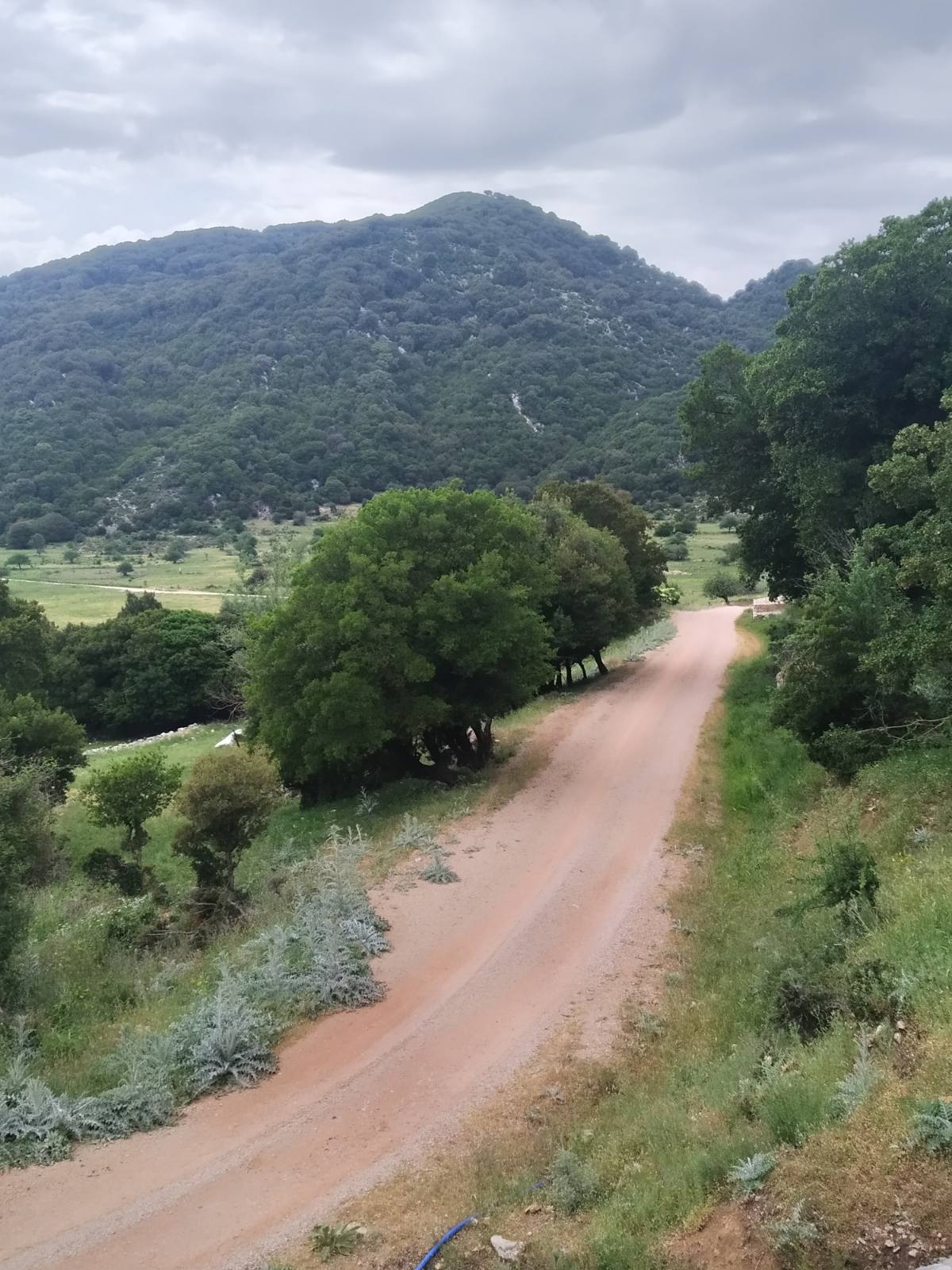 Άγνωστη Μεσσηνία οδοιπορικό στη Μάλη (3)