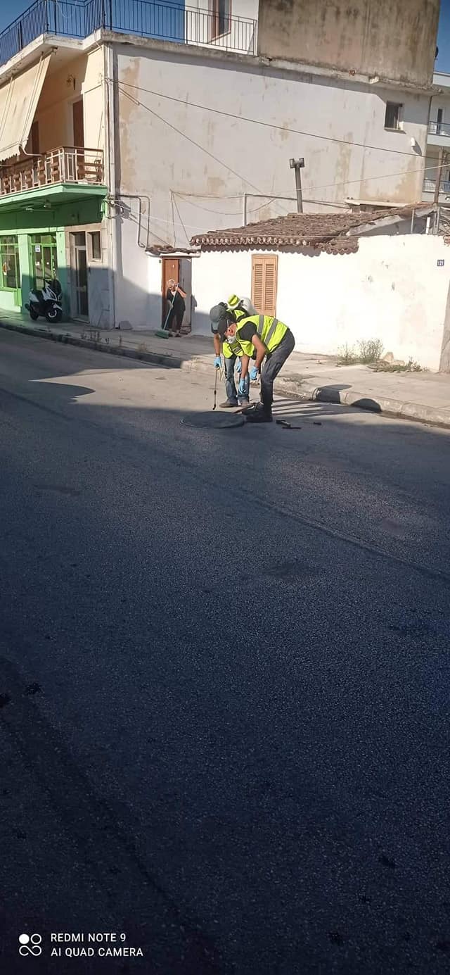 ΔΕΥΑΑΡΜ καταπολέμηση παρασίτων (2)