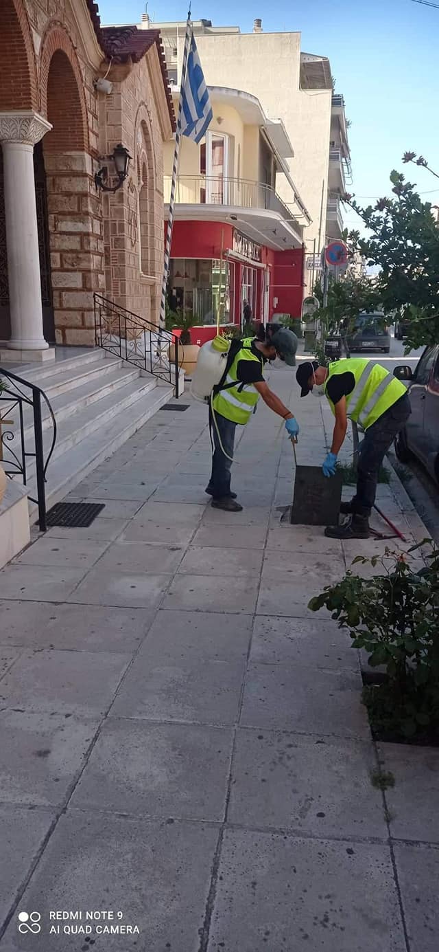 ΔΕΥΑΑΡΜ καταπολέμηση παρασίτων (4)