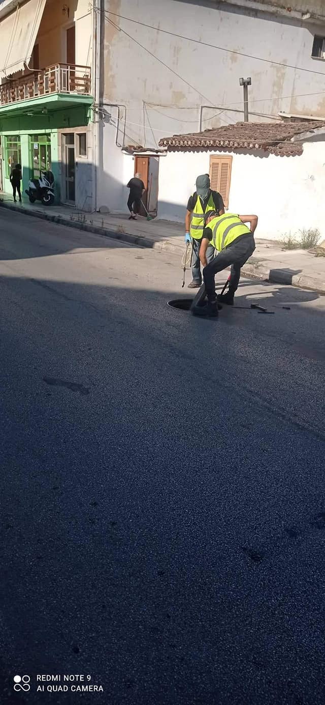 ΔΕΥΑΑΡΜ καταπολέμηση παρασίτων (6)