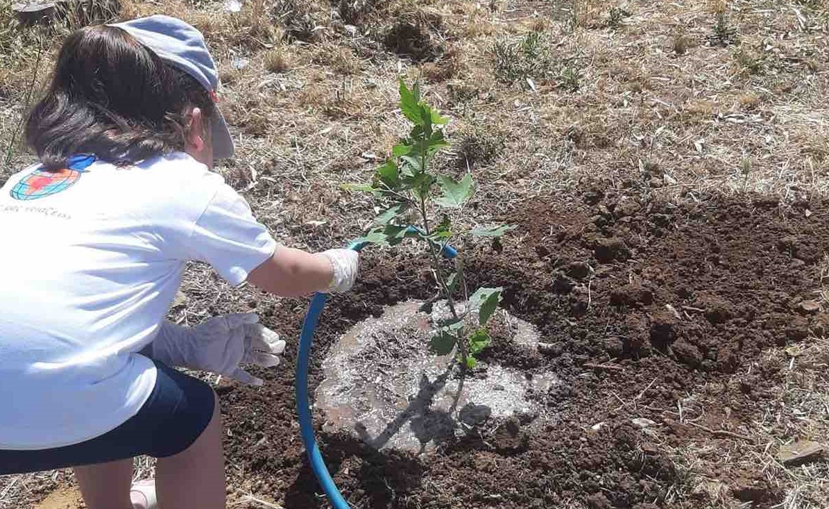 Δενδροφύτευση Νέα Κίος Παγκόσμια Ημέρα Περιβάλλοντος (1)