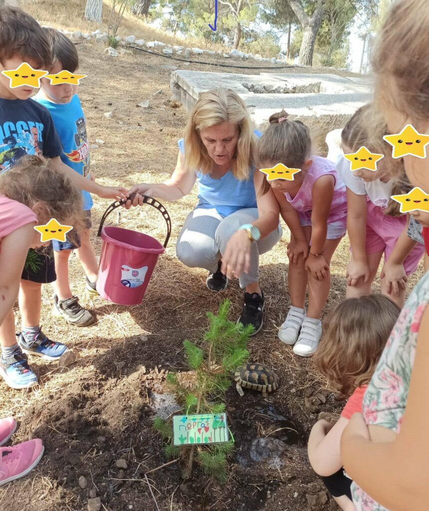 Ερμιόννη δενδροφύτευση 3